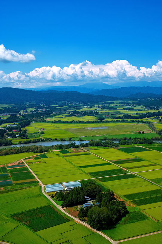 山と田園の風景の写真画像