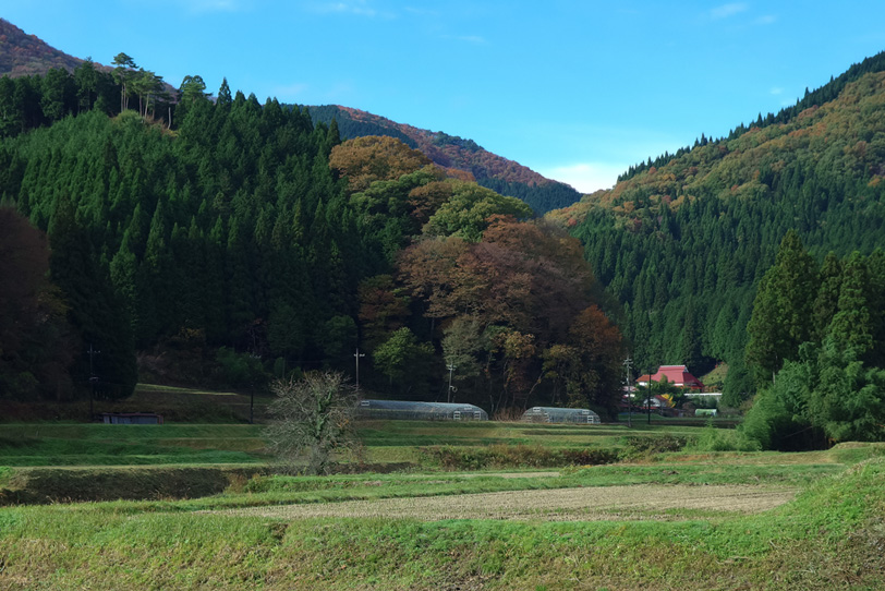 山里に訪れる初秋の風景の写真画像