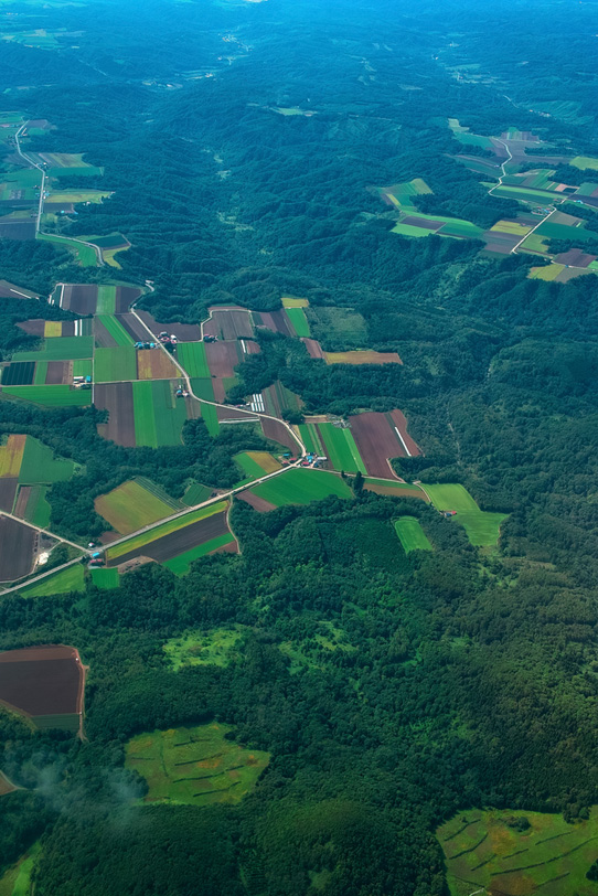 森と農地が限りなく広がる航空写真の写真画像