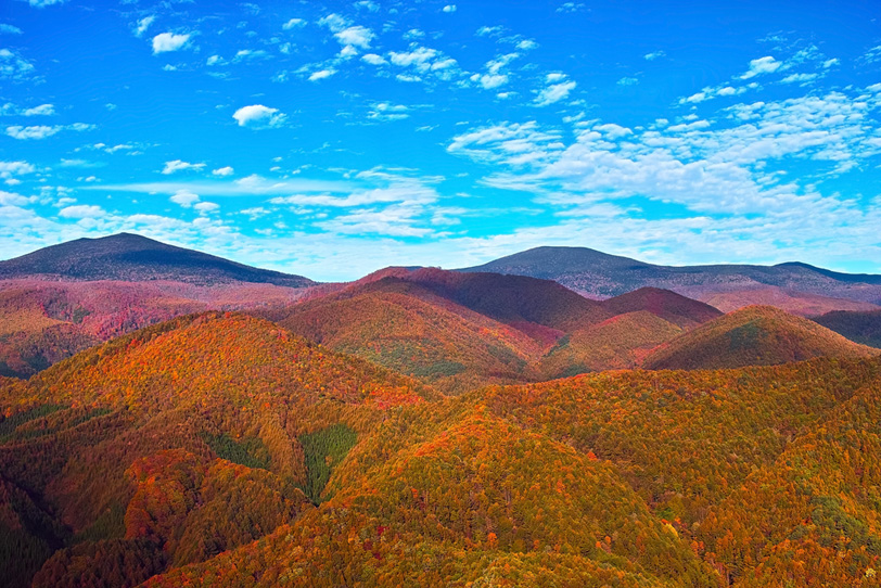 美しい紅葉の山岳の写真画像