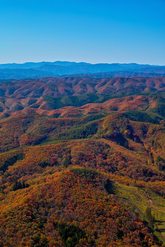 連なる山々が紅葉で赤く染まるの写真画像