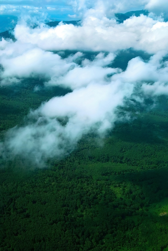 雲の下に見える広大な森の写真画像