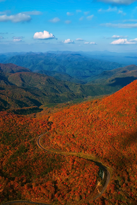 紅葉する山を縫う道の写真画像