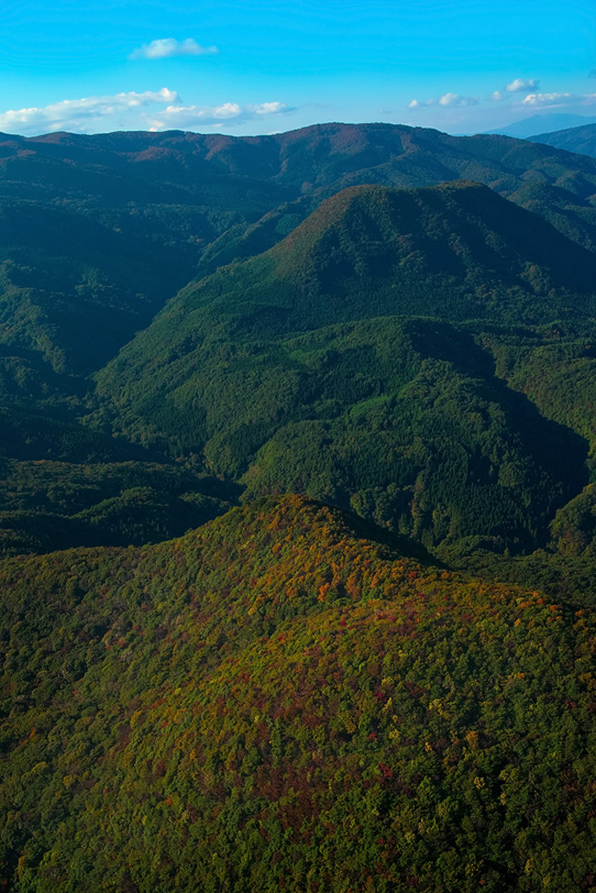 木々が色づき始める秋の山の写真画像
