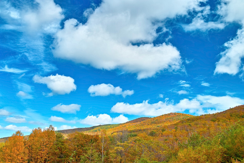 穏やかな秋の日の黄色い山の写真画像