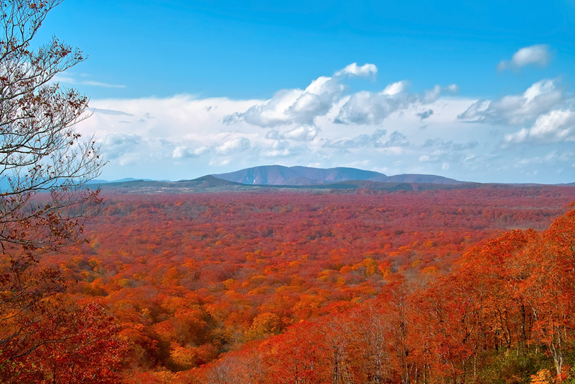 遥かに続く紅葉の森と山の写真画像