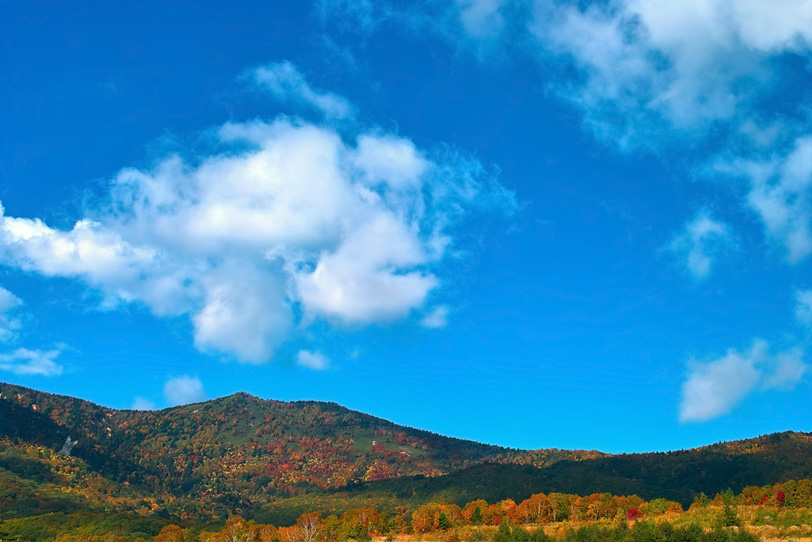 木々が色づく秋の山の写真画像
