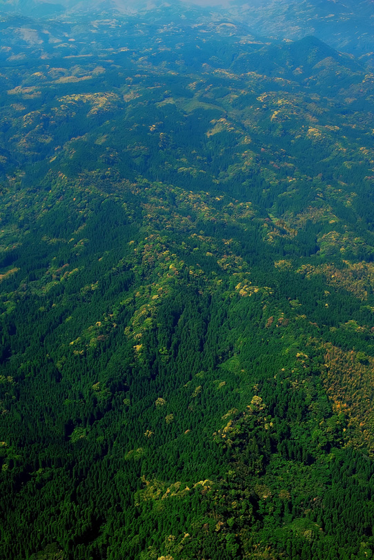 四季の山の写真画像