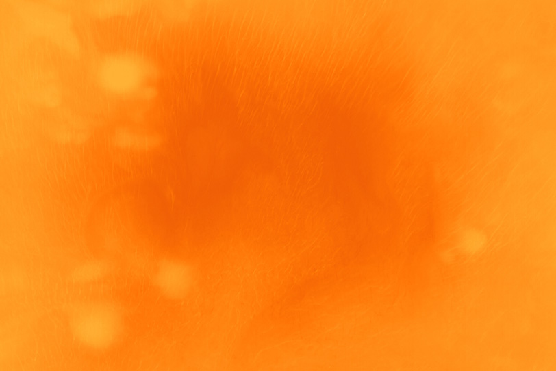 クールなオレンジ色のおしゃれな壁紙 の画像素材を無料ダウンロード 1 背景フリー素材 Beiz Images