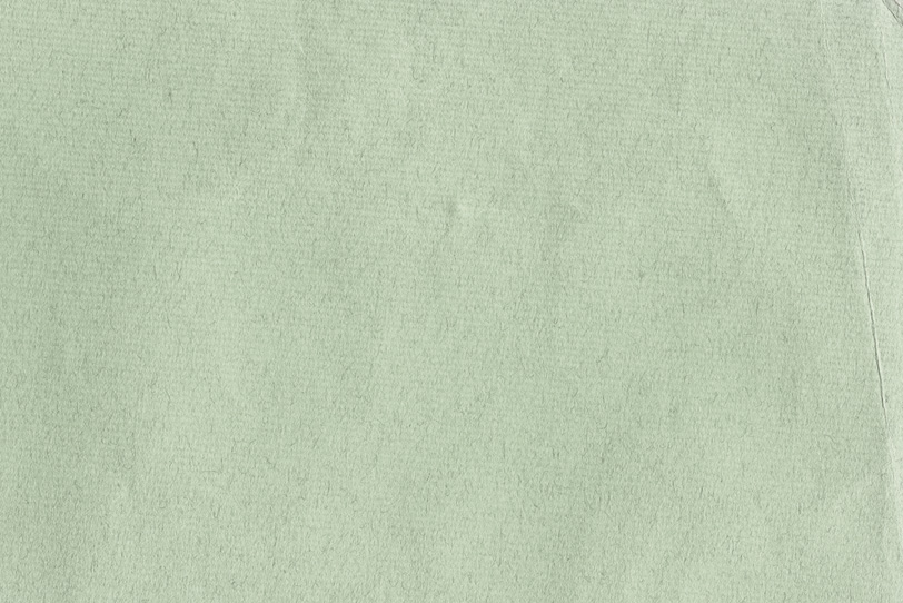 繊維のテクスチャがある薄緑の紙の写真画像