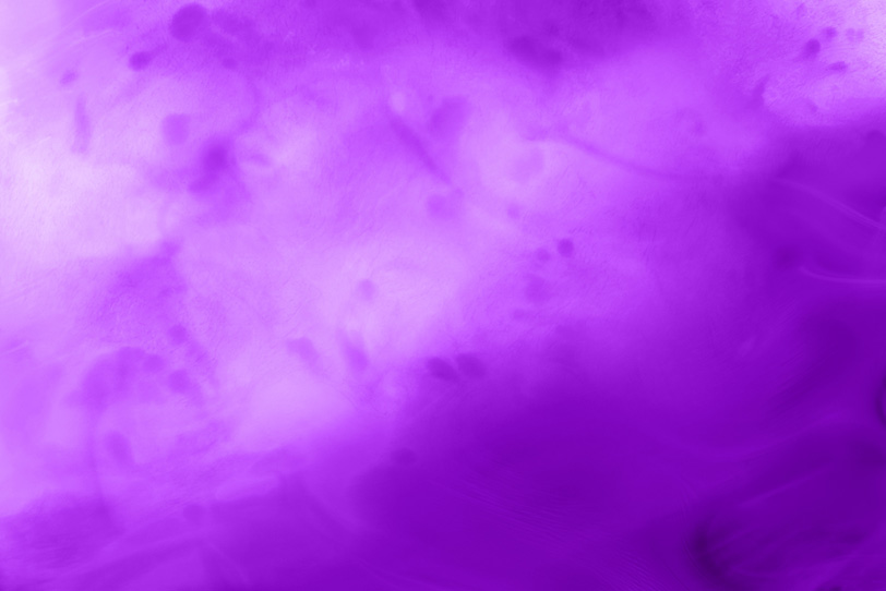 おしゃれな紫色のシンプルな背景