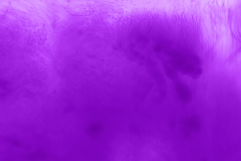 綺麗な紫色のおしゃれな写真 の画像素材を無料ダウンロード 1 背景フリー素材 Beiz Images