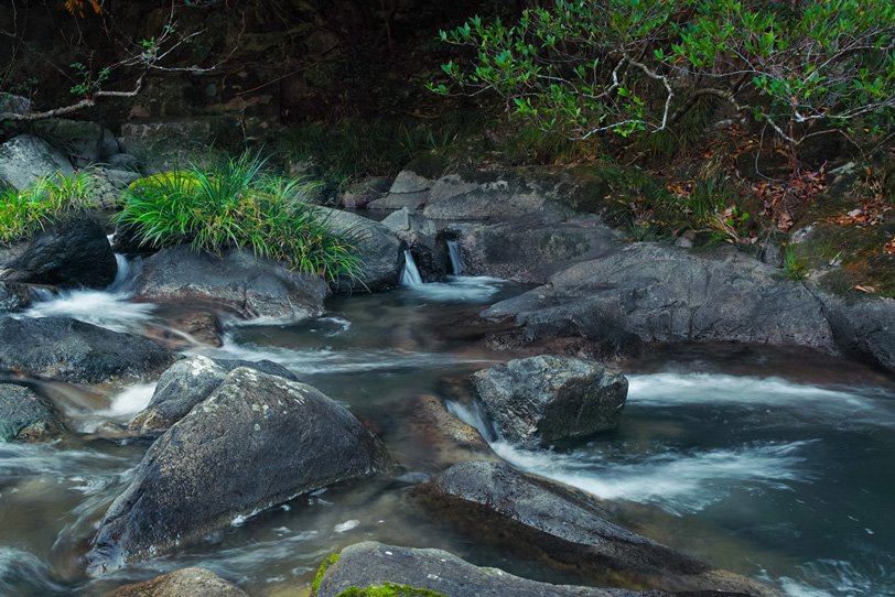 岩の間を流れる渓流の写真画像