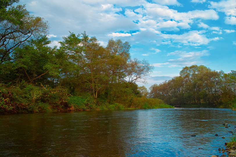 川の水面に映る初秋の風景の写真画像