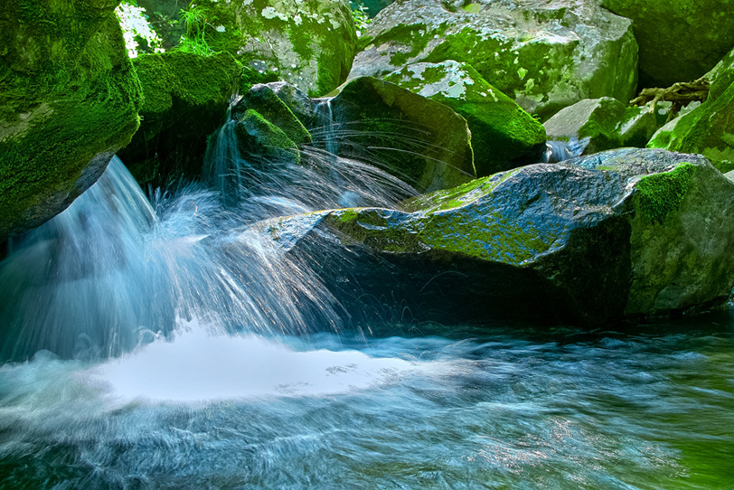 苔のついた岩を流れる渓流の写真画像