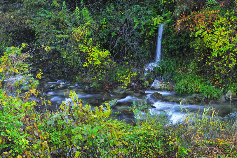 色鮮やかな木々の間を流れる川の写真画像
