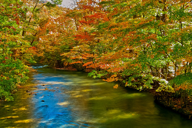 紅葉美しい秋の奥入瀬渓流の写真画像
