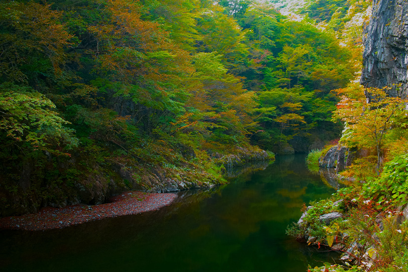 秋の木立が映り込む淵の写真画像