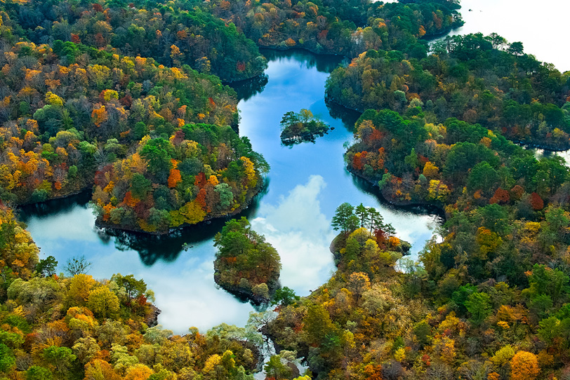 色鮮やかな森に囲まれた湖の写真画像