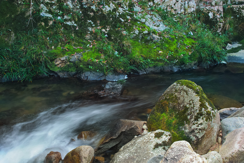 岩の間を流れる小さな渓流の写真画像