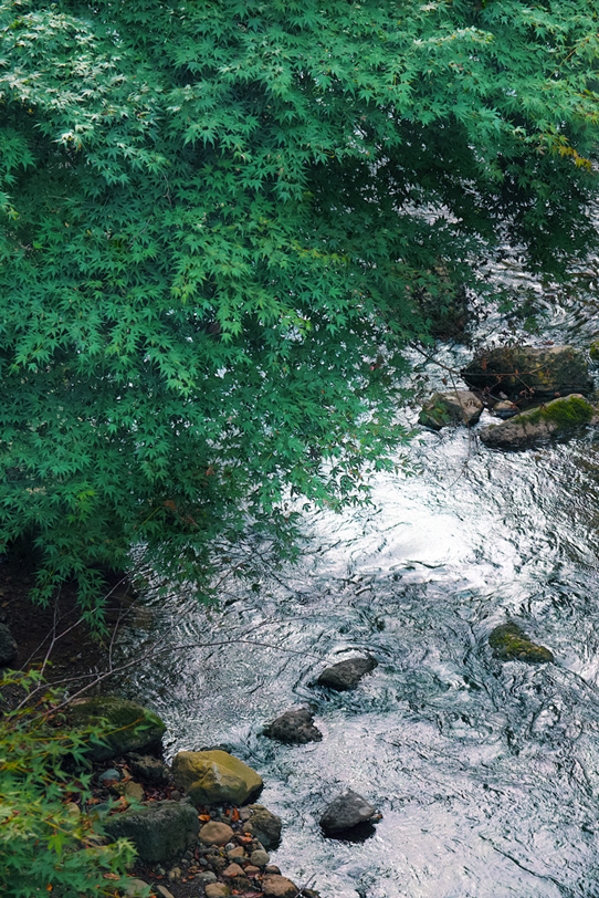 川の流れの写真画像