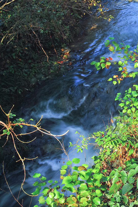 川と渓流の写真画像