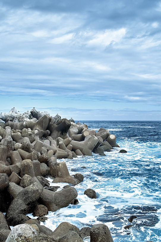 荒れる海のテトラポットとカモメの写真画像
