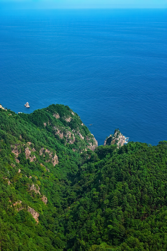 緑の岬と穏やかな海の写真画像