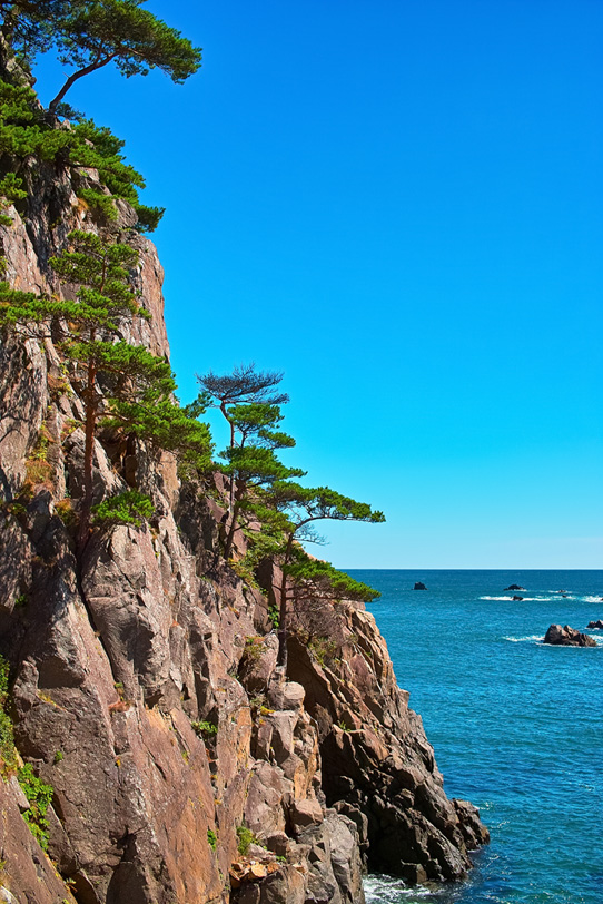 松の生えた崖と海の写真画像