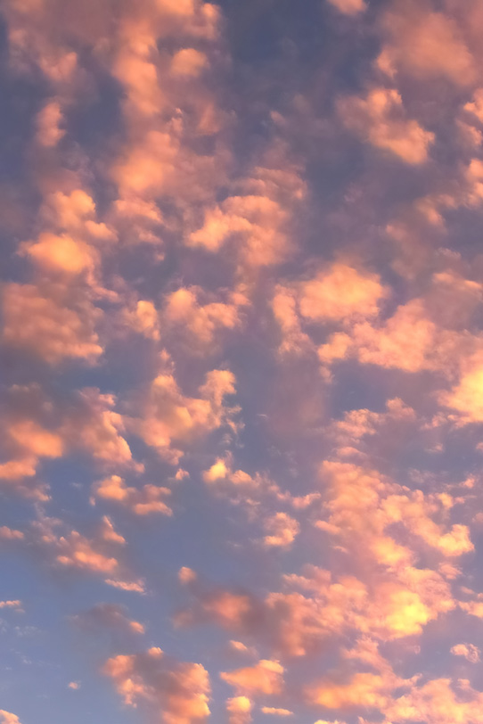 ピンクの雲が夕焼けに煌めくの写真画像