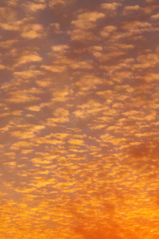 オレンジ色の雲が夕焼けに広がるの写真画像