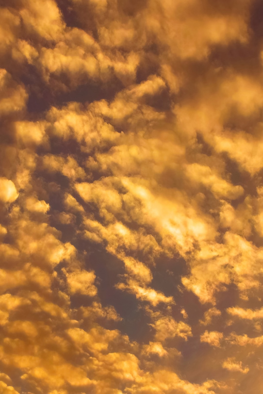 黄金色の雲が夕焼けに光り輝くの写真画像