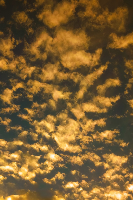 夕焼け雲が褐返色の空に光るの写真画像