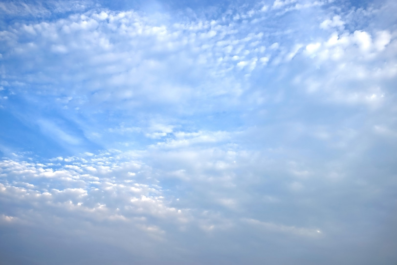 無数の羊雲が覆い尽くす青空の写真画像