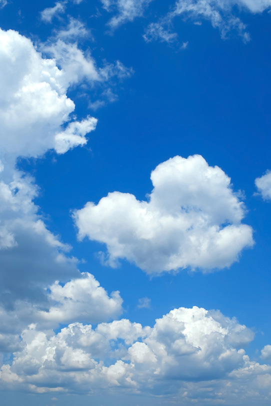 白い並雲が連なる夏の青空の写真画像