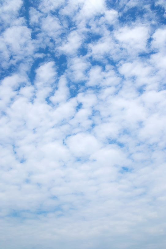 青空高く覆うひつじ雲の写真画像