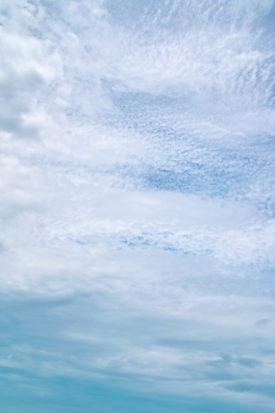 青空を覆い尽くす種々雑多な雲の写真画像