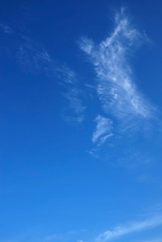 青空に張る蜘蛛の巣のような雲の写真画像
