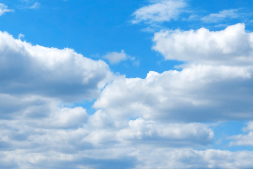 青空の下にむれ集う扁平積雲の写真画像
