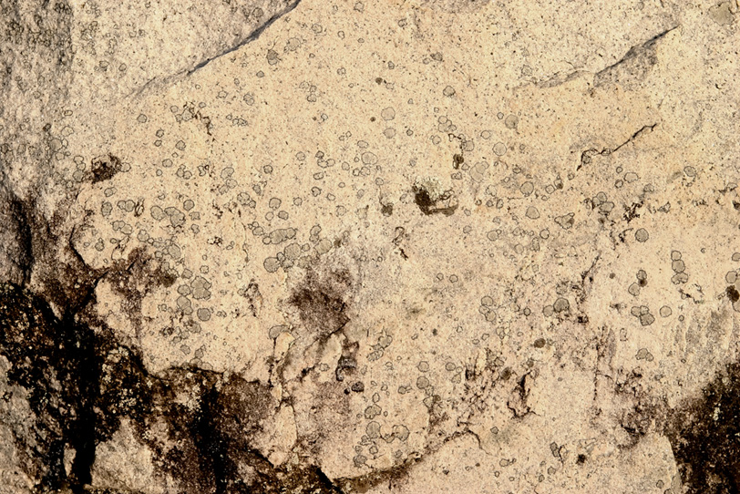 シミの様な模様の入った岩肌の写真画像