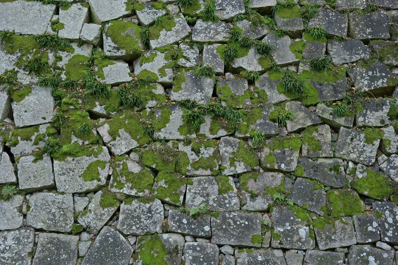 苔の生えた石の城壁の写真画像