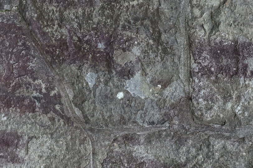 石・石壁・土壁の写真画像