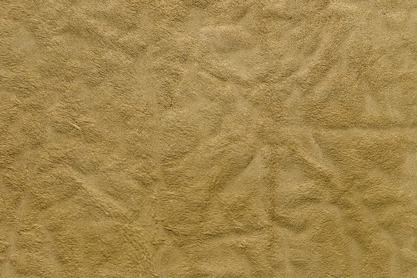 毛足の長いベロア素材の写真画像