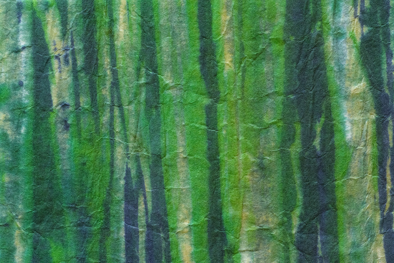 緑の柄のある和風の紙の写真画像