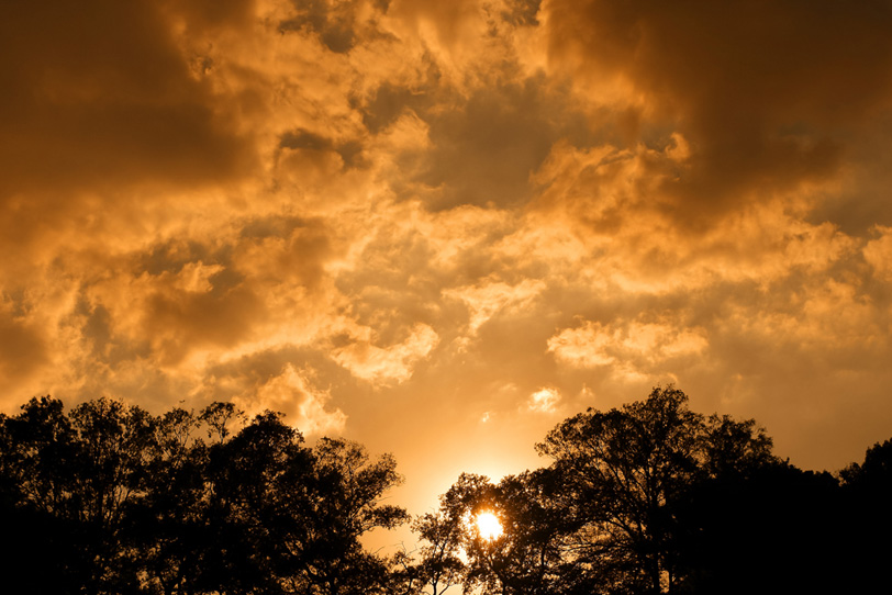 夕焼けと木々のシルエットの写真画像