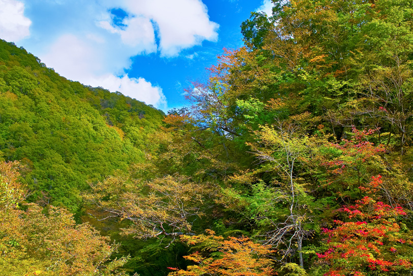 紅葉が始まる秋の山の写真画像