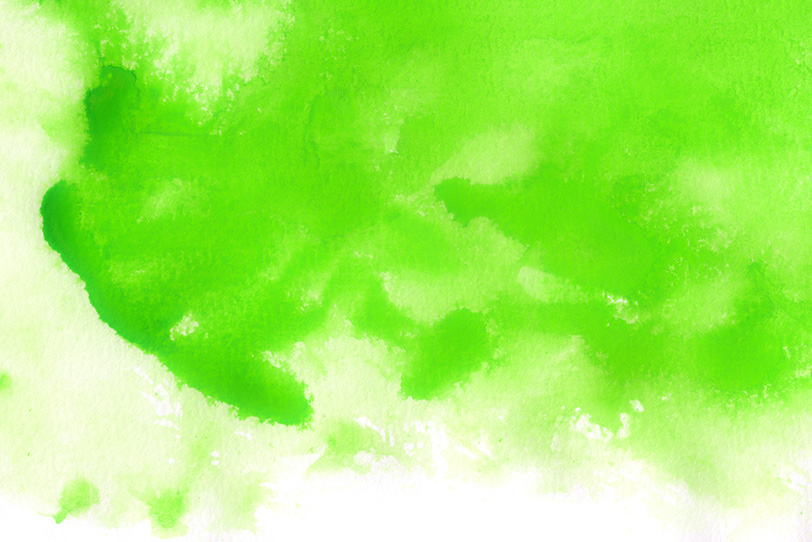 鮮やかなグリーンの有機的な模様の写真画像