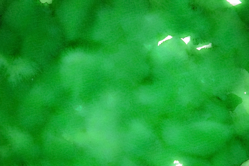 緑色の丸筆タッチのペイントの写真画像