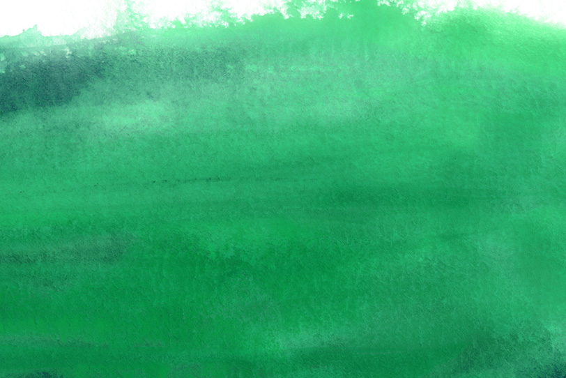 エバーグリーンの水彩筆塗りの写真画像
