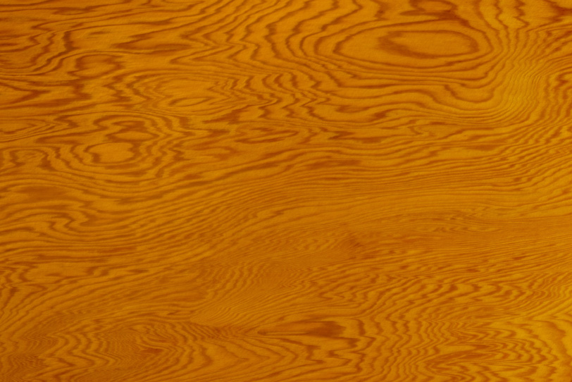 縞模様が美しい老松の木目の写真画像